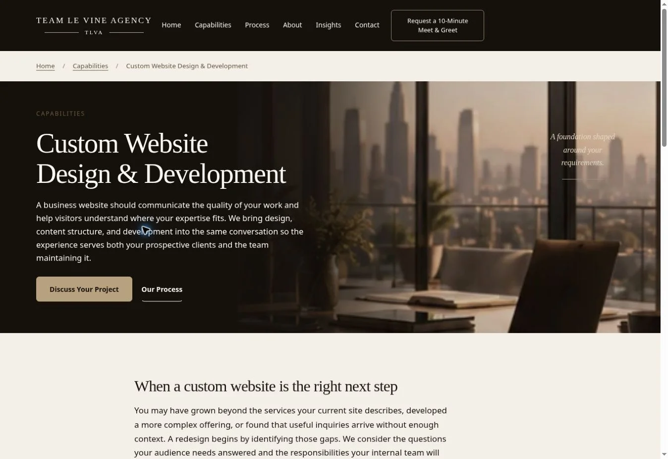 Actual desktop capture: the website development service page introduces its purpose and inquiry route.